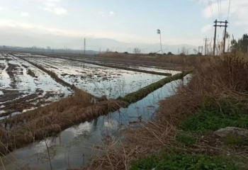 زمین کشاورزی 1000 متری محمودآباد مازندران