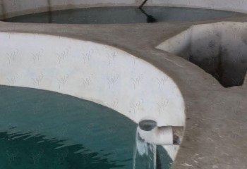 فروش  پرورش ماهی در محمودآباد مازندران