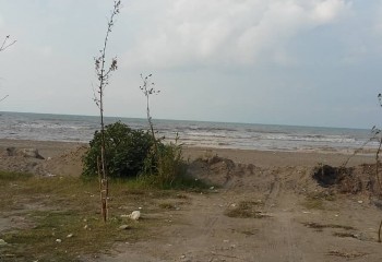 زمین پلاک اول دریا مازندران محمودآباد